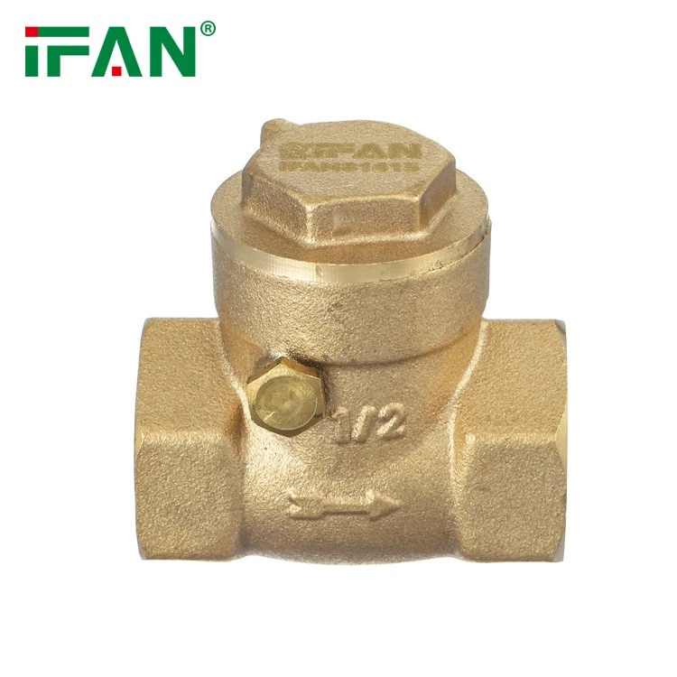 Check Valve (1)